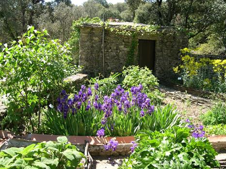 Les Jardins Ethnobotaniques